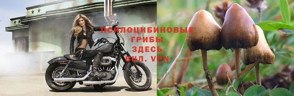 метадон Алексеевка