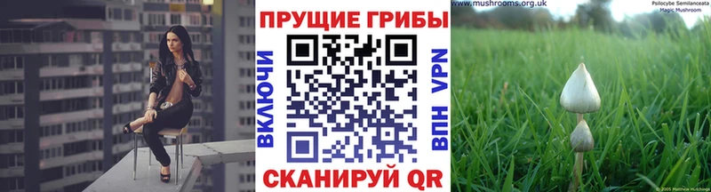 Галлюциногенные грибы GOLDEN TEACHER  Курчатов 